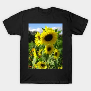 Sunflowers in a field T-Shirt